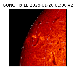 gong - 2026-01-20T01:00:42