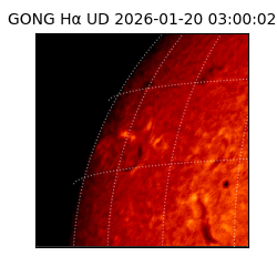 gong - 2026-01-20T03:00:02