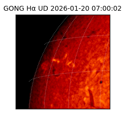 gong - 2026-01-20T07:00:02