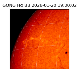 gong - 2026-01-20T19:00:02