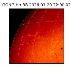 gong - 2026-01-20T22:00:02