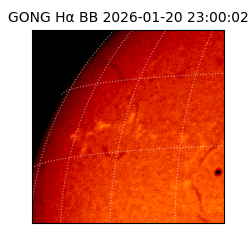 gong - 2026-01-20T23:00:02