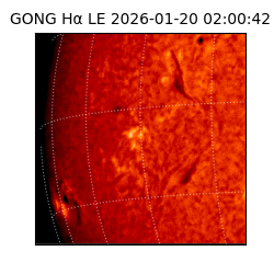 gong - 2026-01-20T02:00:42