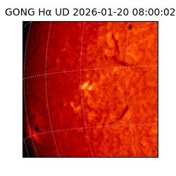 gong - 2026-01-20T08:00:02