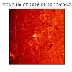gong - 2026-01-20T13:00:42