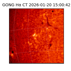 gong - 2026-01-20T15:00:42