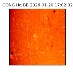 gong - 2026-01-20T17:02:02