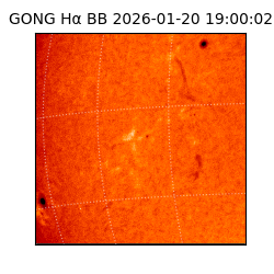 gong - 2026-01-20T19:00:02