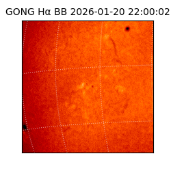 gong - 2026-01-20T22:00:02