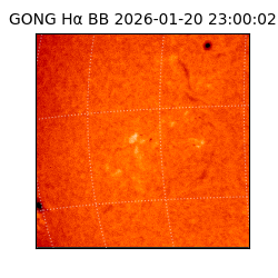 gong - 2026-01-20T23:00:02