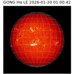 gong - 2026-01-20T01:00:42