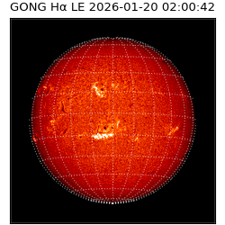 gong - 2026-01-20T02:00:42