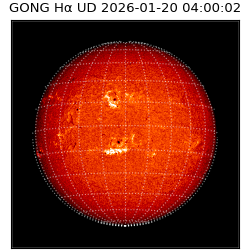 gong - 2026-01-20T04:00:02