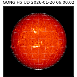 gong - 2026-01-20T06:00:02