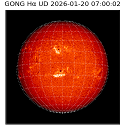gong - 2026-01-20T07:00:02