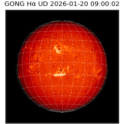 gong - 2026-01-20T09:00:02