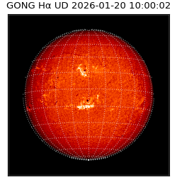 gong - 2026-01-20T10:00:02