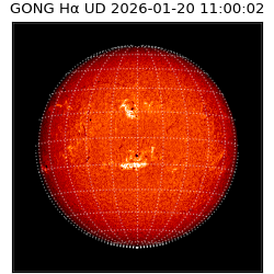 gong - 2026-01-20T11:00:02