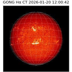 gong - 2026-01-20T12:00:42