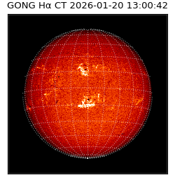 gong - 2026-01-20T13:00:42