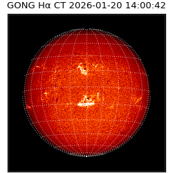 gong - 2026-01-20T14:00:42
