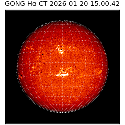 gong - 2026-01-20T15:00:42
