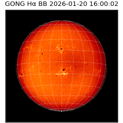gong - 2026-01-20T16:00:02