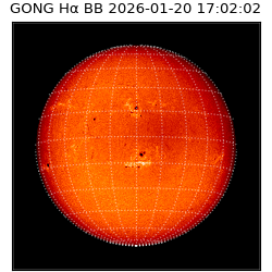 gong - 2026-01-20T17:02:02