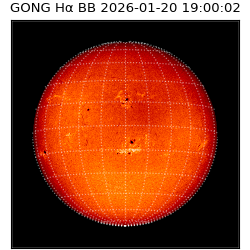 gong - 2026-01-20T19:00:02