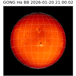 gong - 2026-01-20T21:00:02
