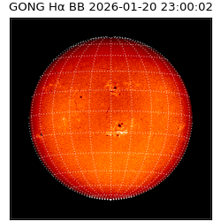 gong - 2026-01-20T23:00:02
