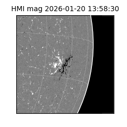 shmi - 2026-01-20T13:58:30