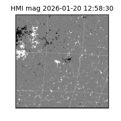 shmi - 2026-01-20T12:58:30.100000