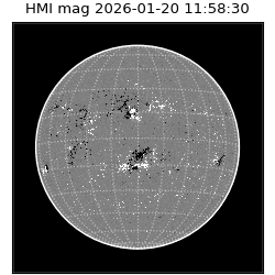 shmi - 2026-01-20T11:58:30.100000