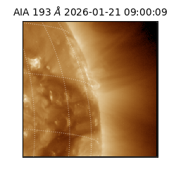 saia - 2026-01-21T09:00:09.480000