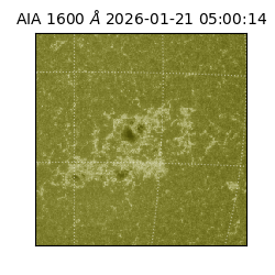 saia - 2026-01-21T05:00:14.118000