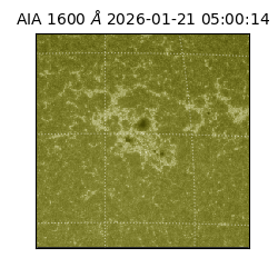 saia - 2026-01-21T05:00:14.118000