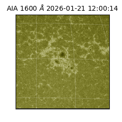 saia - 2026-01-21T12:00:14.125000