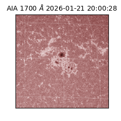 saia - 2026-01-21T20:00:28.721000