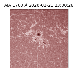 saia - 2026-01-21T23:00:28.721000