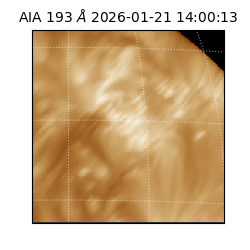 saia - 2026-01-21T14:00:13.470000