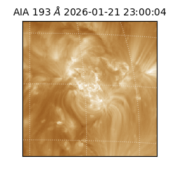 saia - 2026-01-21T23:00:04.843000
