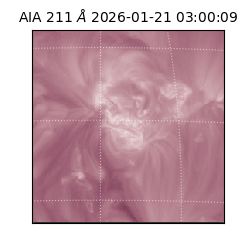 saia - 2026-01-21T03:00:09.633000