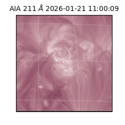 saia - 2026-01-21T11:00:09.626000