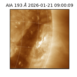 saia - 2026-01-21T09:00:09.480000