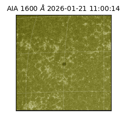 saia - 2026-01-21T11:00:14.126000