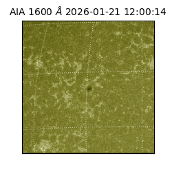 saia - 2026-01-21T12:00:14.125000