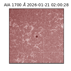 saia - 2026-01-21T02:00:28.717000