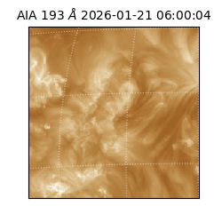 saia - 2026-01-21T06:00:04.843000