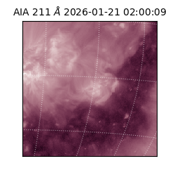 saia - 2026-01-21T02:00:09.625000